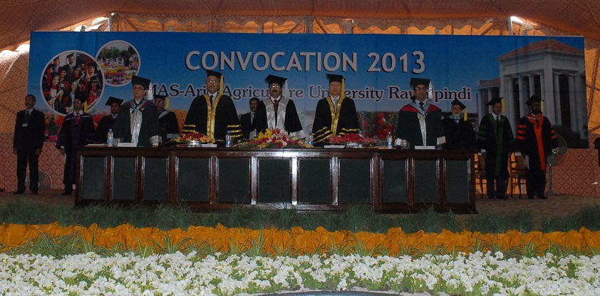 university